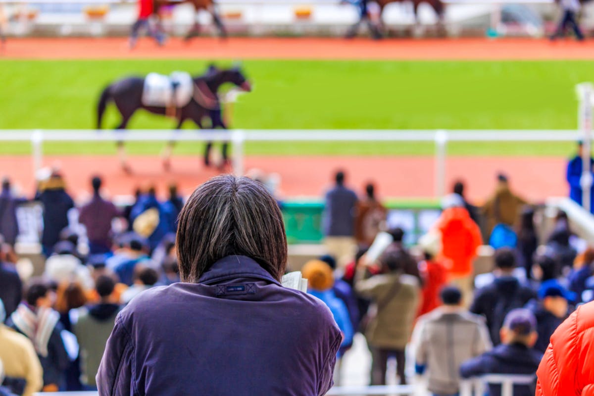 everything-you-need-to-know-about-japanese-horse-racing-sportsbet-io